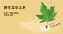 艾草越嫩越好，還是越久越好？悄悄告訴你：艾草這樣用，效果最好！