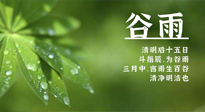 【二十四節(jié)氣灸】谷雨時節(jié)，用艾為您的健康加上一道保險！