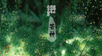 【二十四節(jié)氣灸】芒種節(jié)氣，培土補(bǔ)脾、養(yǎng)陰生津！艾灸這些穴位事半功倍！