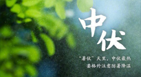 【三伏養(yǎng)生】至熱中伏，吃三樣，喝三樣，三大禁忌千萬別犯，小心落下病根！
