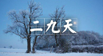 【三九養(yǎng)生】冬二九，扶陽(yáng)補(bǔ)腎氣，讓你陽(yáng)氣充足一整年！