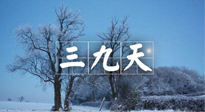 【三九養(yǎng)生】冬三九，三九第三灸，一年中最后艾灸黃金9天！
