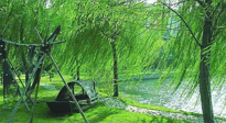 【養(yǎng)生知識】元宵入六九，春季已至，六九天的養(yǎng)生知識你知道多少？