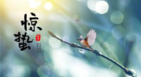 【二十四節(jié)氣灸】驚蟄節(jié)氣，艾灸喚醒抵抗力、補(bǔ)充陽氣的最好時(shí)機(jī)！