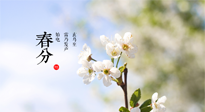 【二十四節(jié)氣灸】春分，平分了大地晝夜；艾灸，平衡了身體陰陽！
