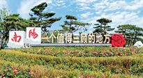 【行業(yè)資訊】南陽一個值得三顧的地方！“丹江水”“仙草艾”成為 “南陽禮物”新爆款！