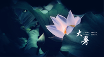 【二十四節(jié)氣灸】趁大暑好好艾灸，才不辜負(fù)三伏天的驕陽！