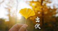 【艾灸三伏天】出伏啦！三防三宜兩穴位，防止身體“秋后算賬”！