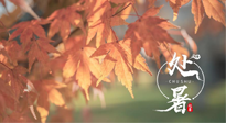 【二十四節(jié)氣灸】處暑，冬病夏治倒計時！秋涼真的要來了！