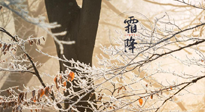 【二十四節(jié)氣灸】霜降節(jié)氣：艾灸四穴，護(hù)您冬天安然無恙！