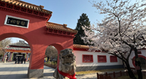 【行業(yè)資訊】新華財經(jīng)：守正創(chuàng)新，中醫(yī)藥品牌化發(fā)展“更上一層樓”！