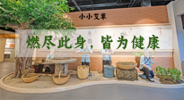 【艾草知識】小小艾草，渾身是寶，一生燃盡此身，皆為健康！